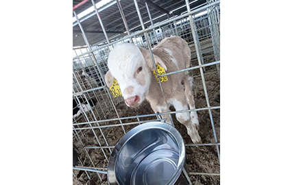 1691405523470204.png 6.png