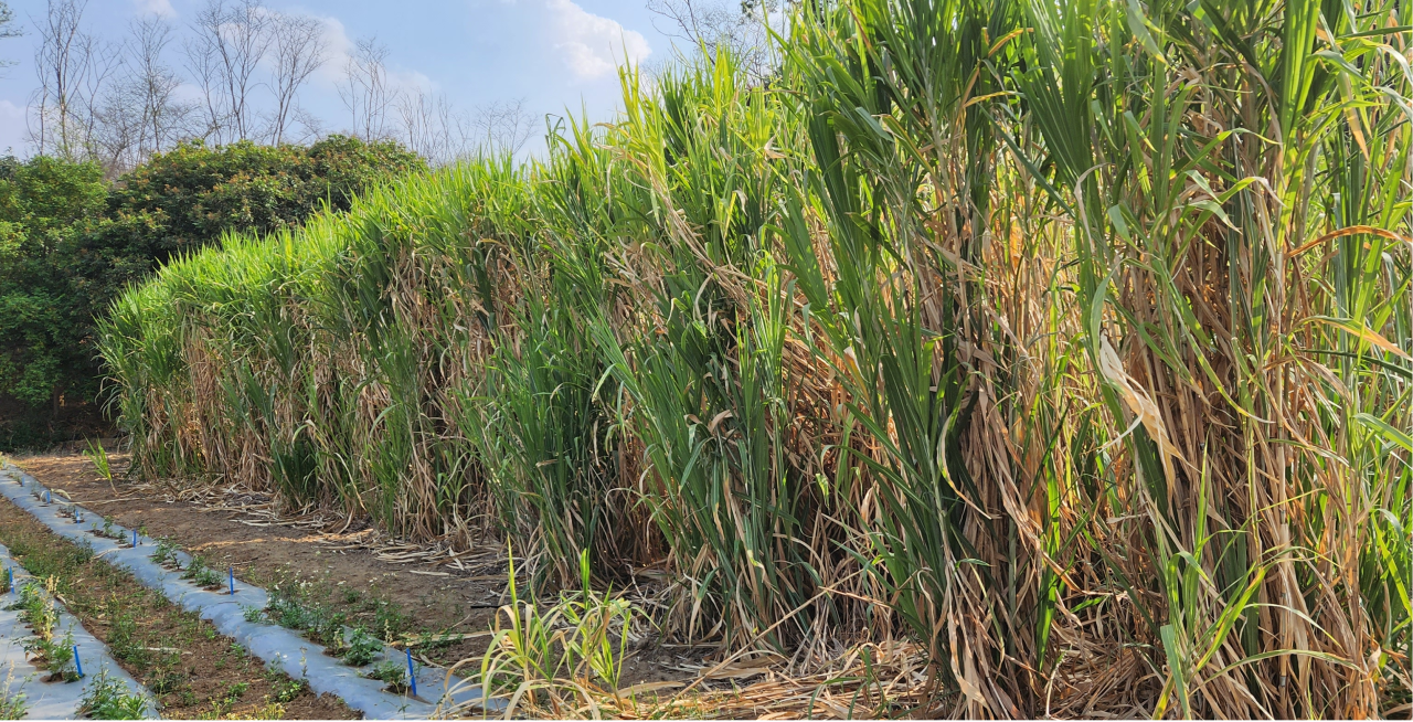 1698028938358315.png 1698028938358315.png